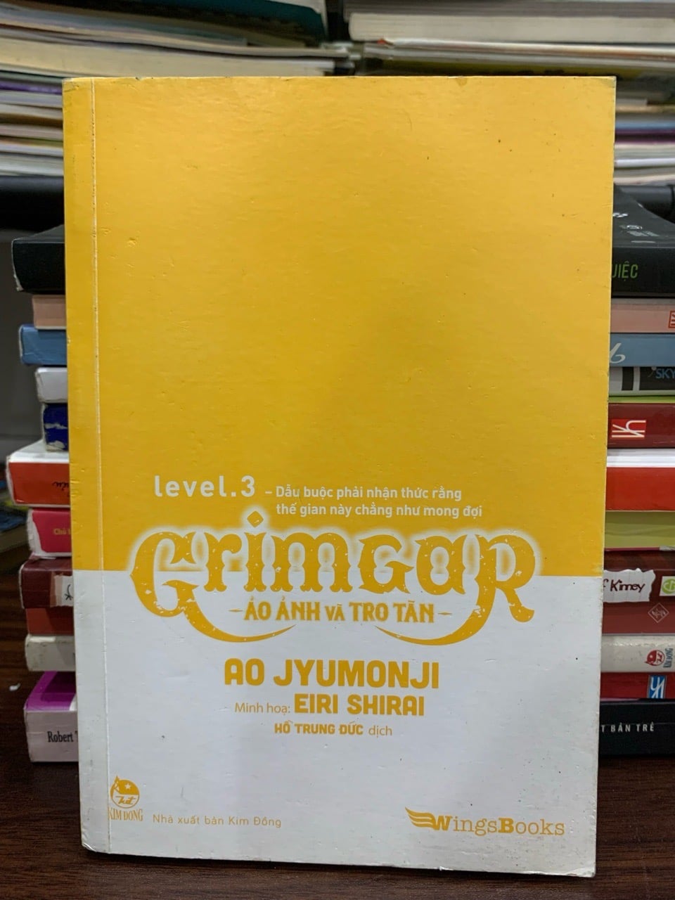 Grimgar – Ảo ảnh và tro tàn (Level 3) – Ao Jyumonji, Eiri Shirai