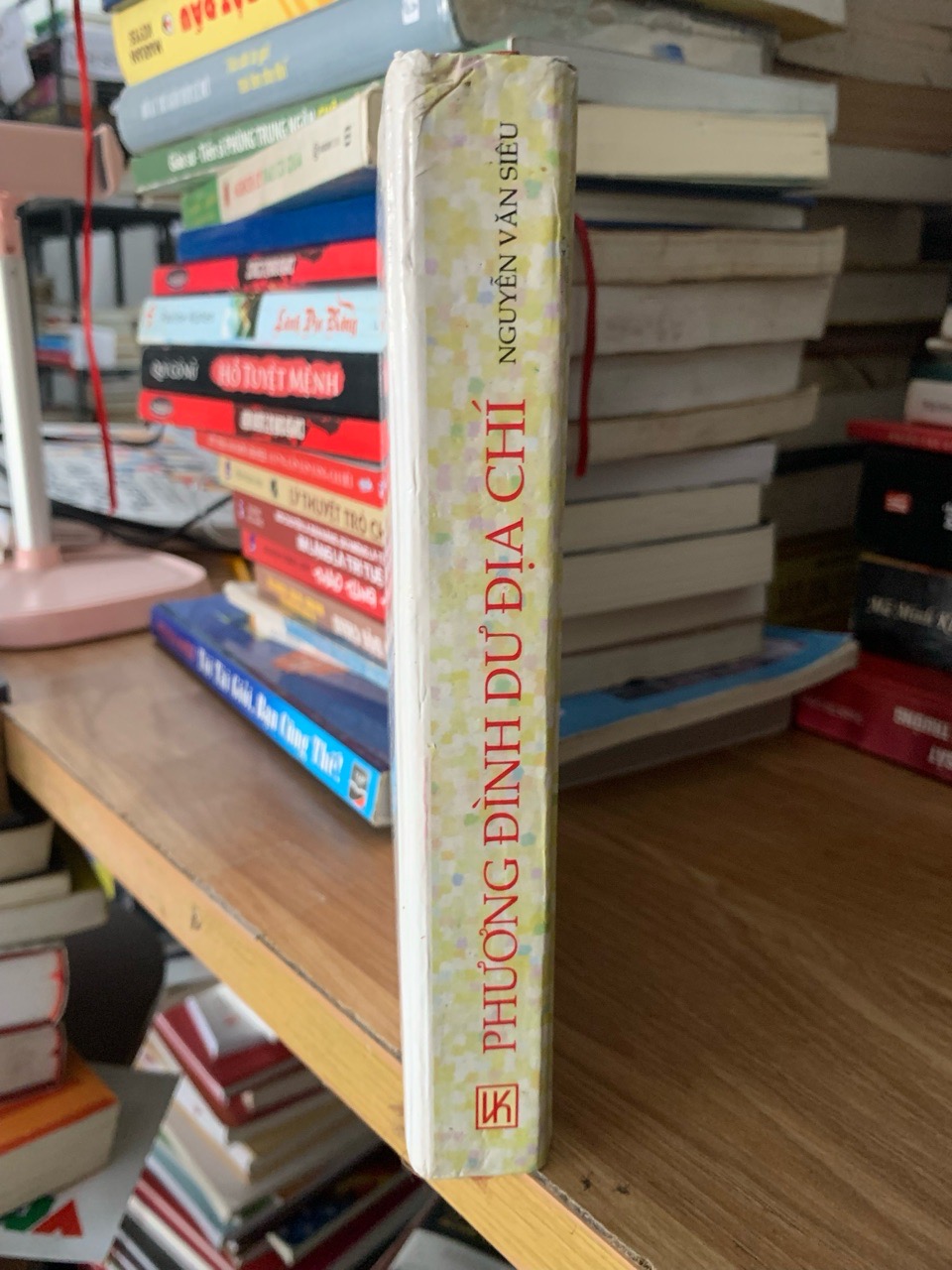 Phương Đình dư địa chí -Nguyễn Văn Siêu