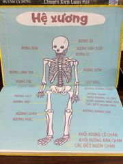Cẩm nang thiên tài trẻ: Cơ thể người — Ken Jennings - ảnh 2