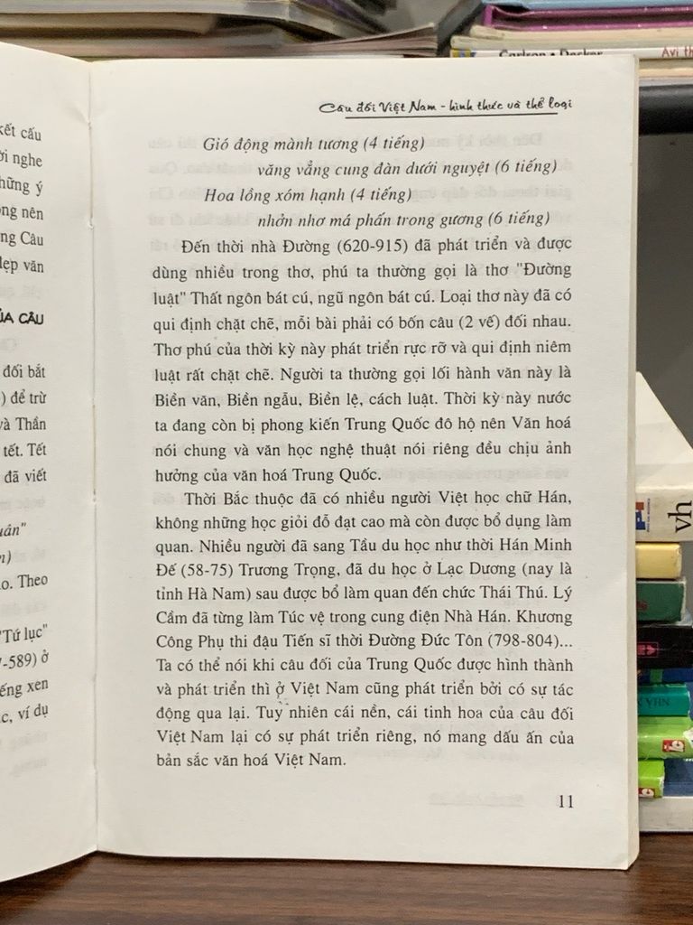 Câu đối Việt Nam: Hình thức và thể loại – Nguyễn Xuân Tú - Ảnh thực tế 4