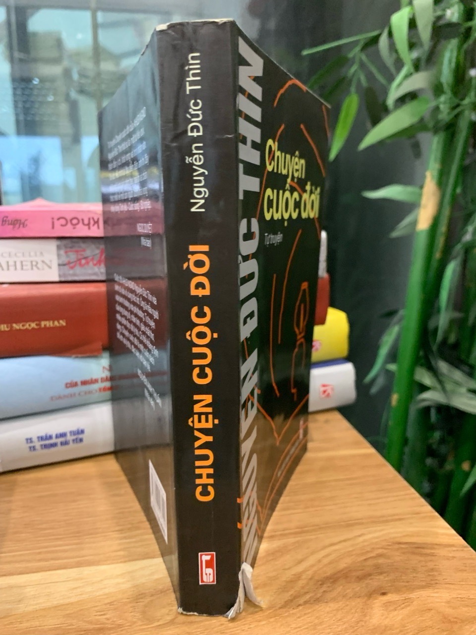 Chuyện cuộc đời -Lê Đức Thìn