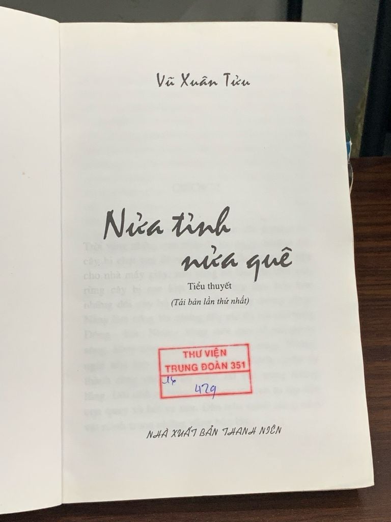 Nửa tình nửa quê – Vũ Xuân Tửu - Ảnh thực tế 4