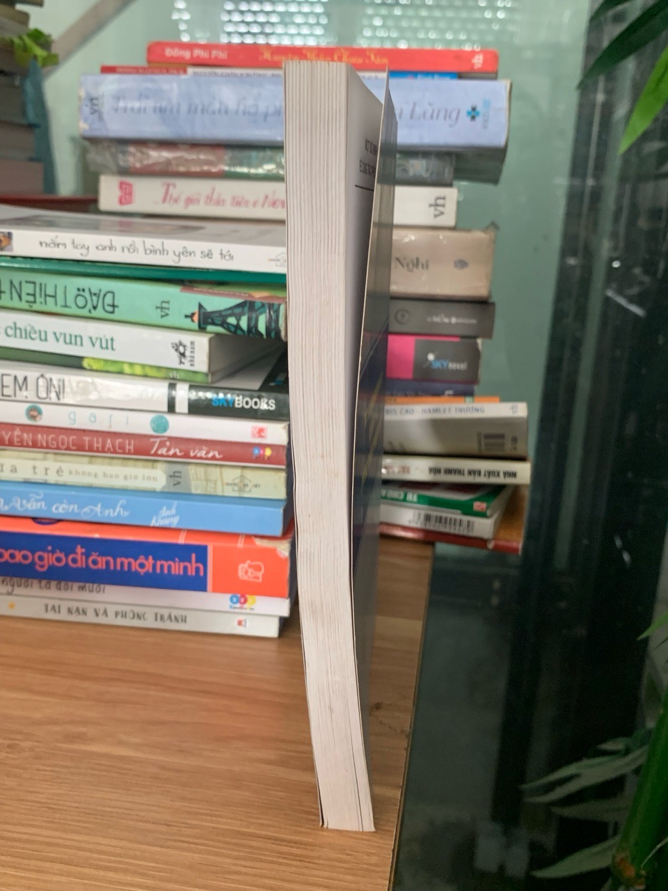 Một số kinh nghiệm quốc tế về công tác phòng ,chống tham nhũng-Thanh tra chính phủ