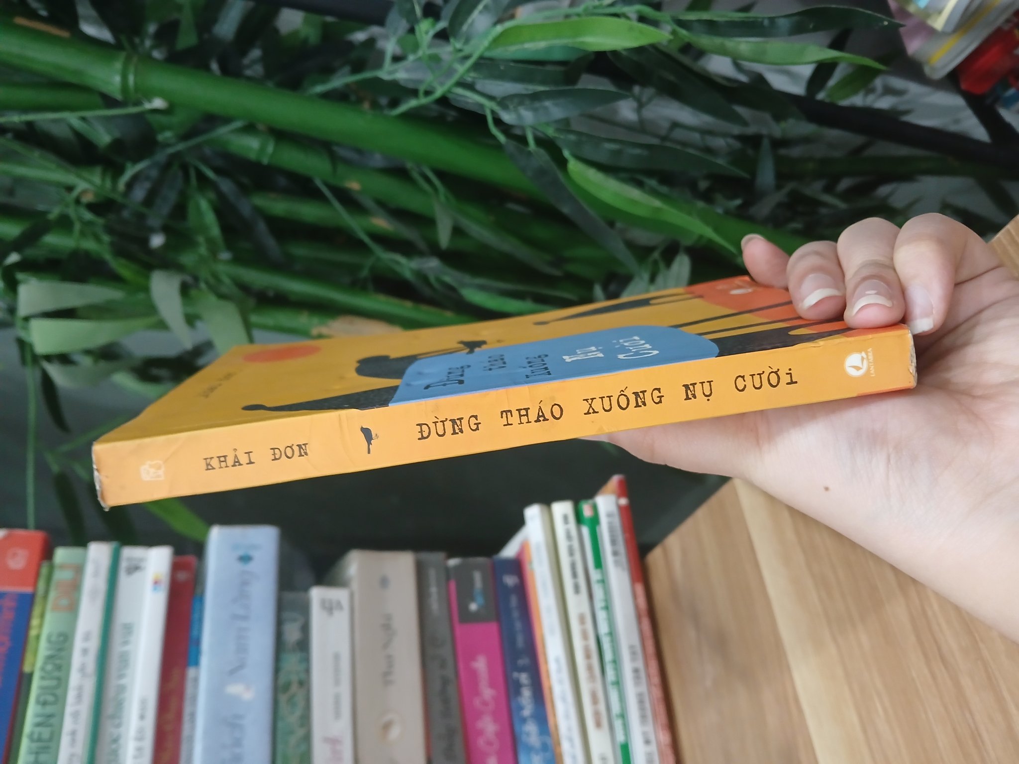 Đừng Tháo Xuống Nụ Cười - Khải Đơn