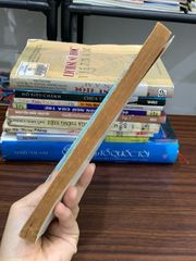 Văn học Việt Nam nửa cuối thế kỷ XVIII đầu thế kỷ XIX – Sách đại học sư phạm - ảnh 4