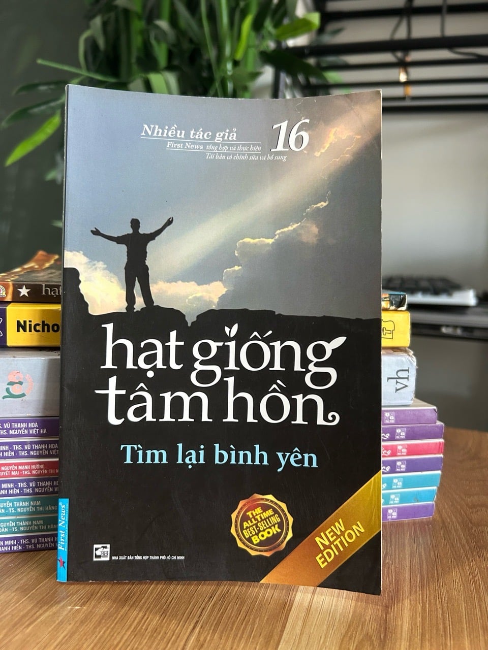 Hạt giống tâm hồn 16 – Tìm lại bình yên - Nhiều tác giả (First News tổng hợp và thực hiện)