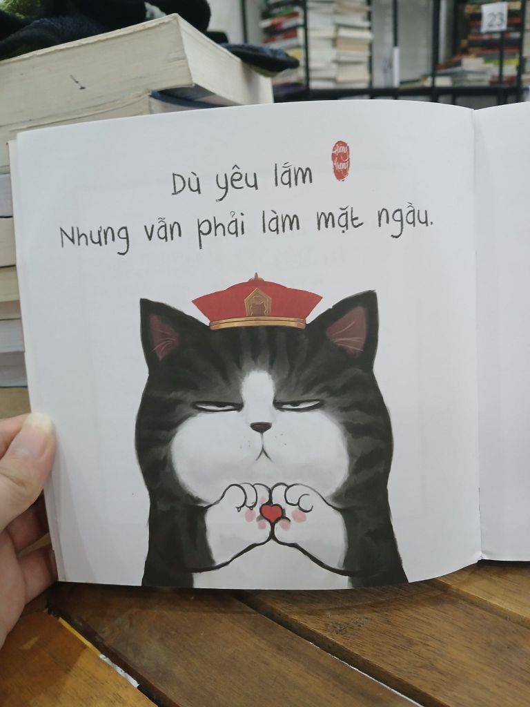 Cuộc sống thượng lưu của hoàng đế mèo 3- Bạch Trà - Ảnh thực tế 5