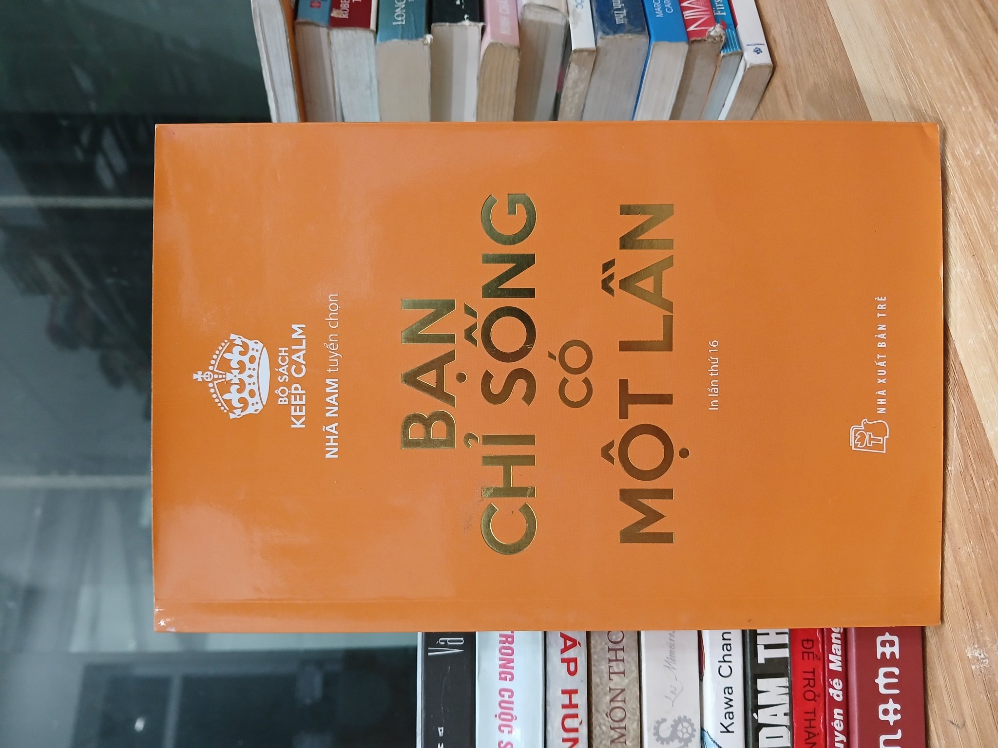 Bạn chỉ sống có một lần — Nhã Nam
