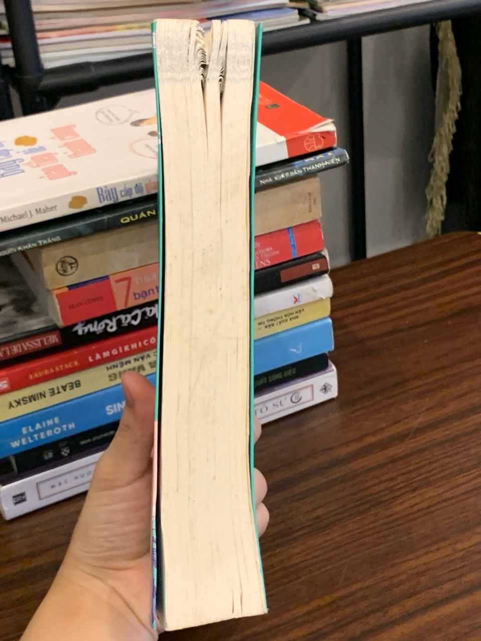 Trâm – Kẻ yêu mệnh – Châu Văn Văn