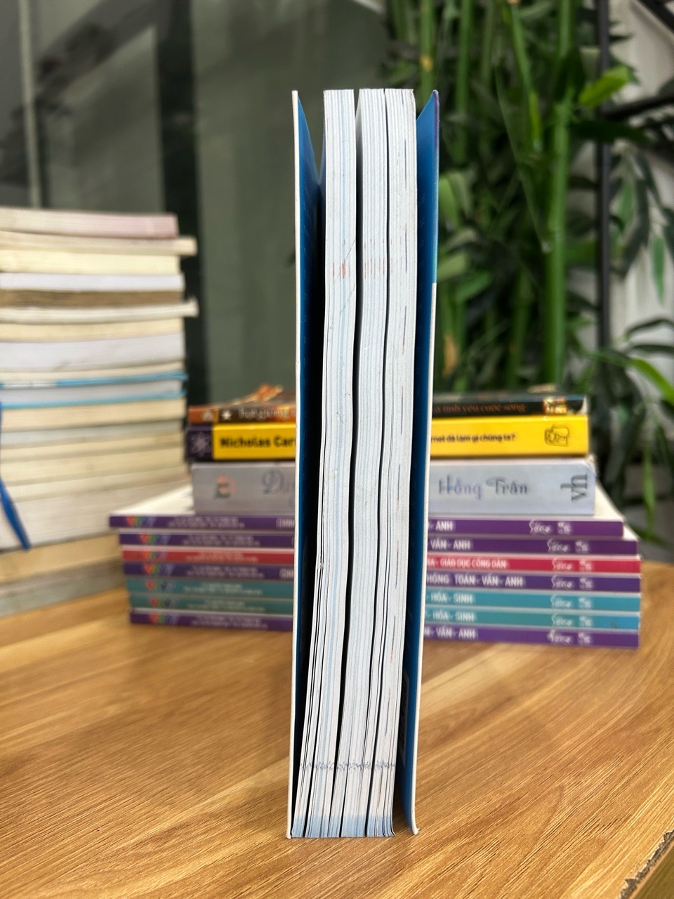 NYM – Tôi của tương lai (My Future Self) - Nguyễn Phi Vân