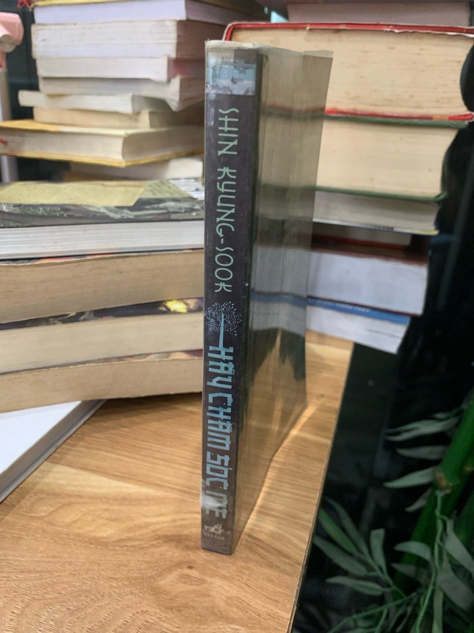 Hãy Chăm Sóc Mẹ - Tác phẩm đoạt giải Man Asian của Shin Kyung Sook