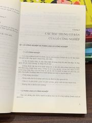 Lò công nghiệp – Phan Văn Trí (chủ biên), Dương Đức Hồng, Nguyễn Công Cẩn - ảnh 4