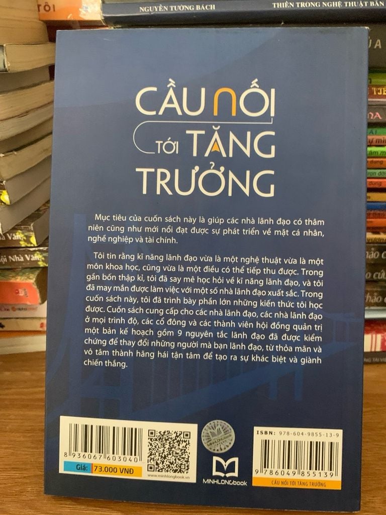 Cầu nối tới tăng trưởng -Jude Rake - Ảnh thực tế 3