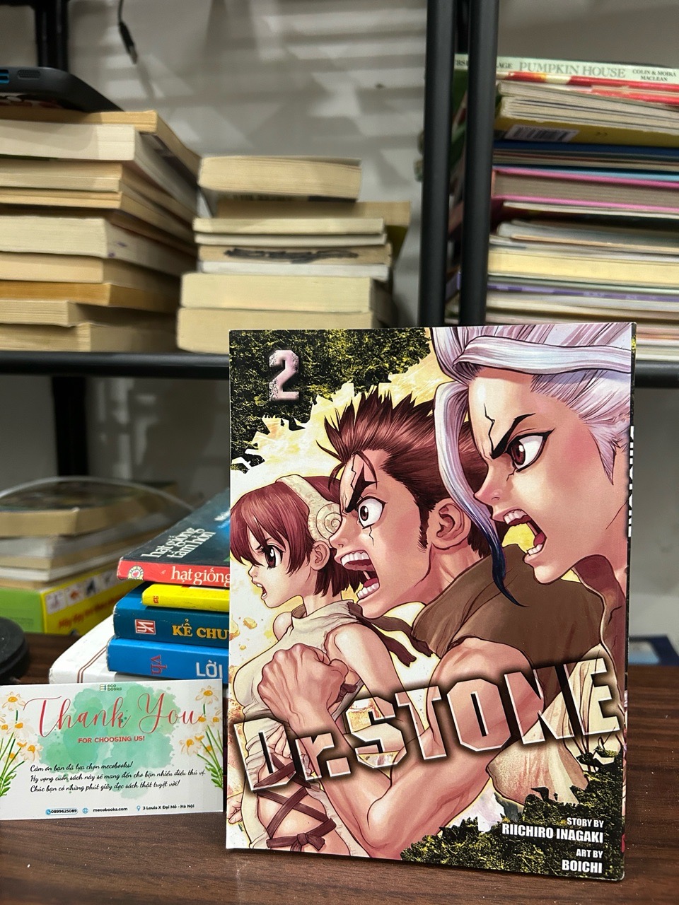 DR. Stone 2- Riichiro Inagaki boichi