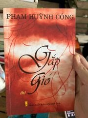 Gặp Gió - Phạm Huỳnh Công - ảnh 1