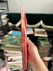 Gặp Gió - Phạm Huỳnh Công - ảnh 2