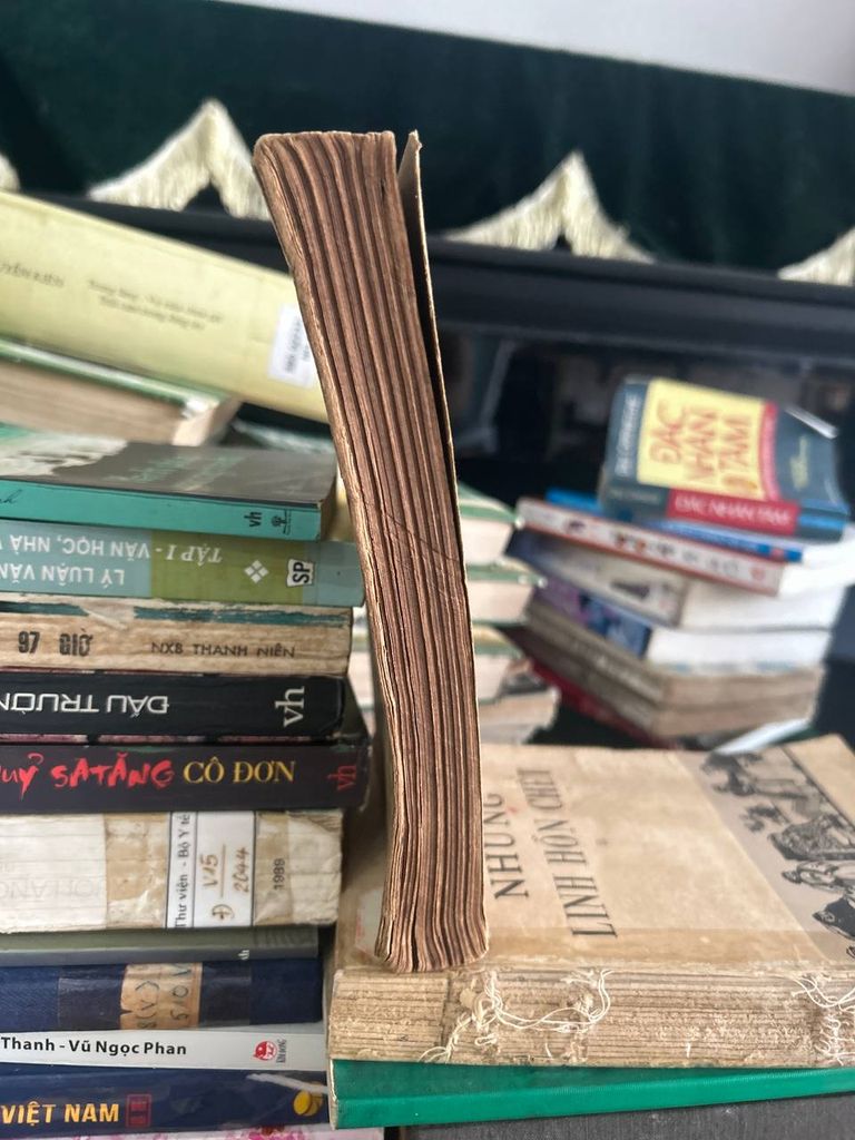 Giữa trong xanh - Nguyễn Thành Long - Ảnh thực tế 4