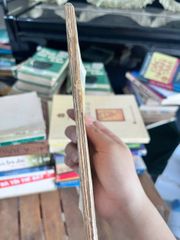 Hiểu đúng dẫn truyện Kiều - Giáo sư Lê Đình Kỷ - ảnh 2