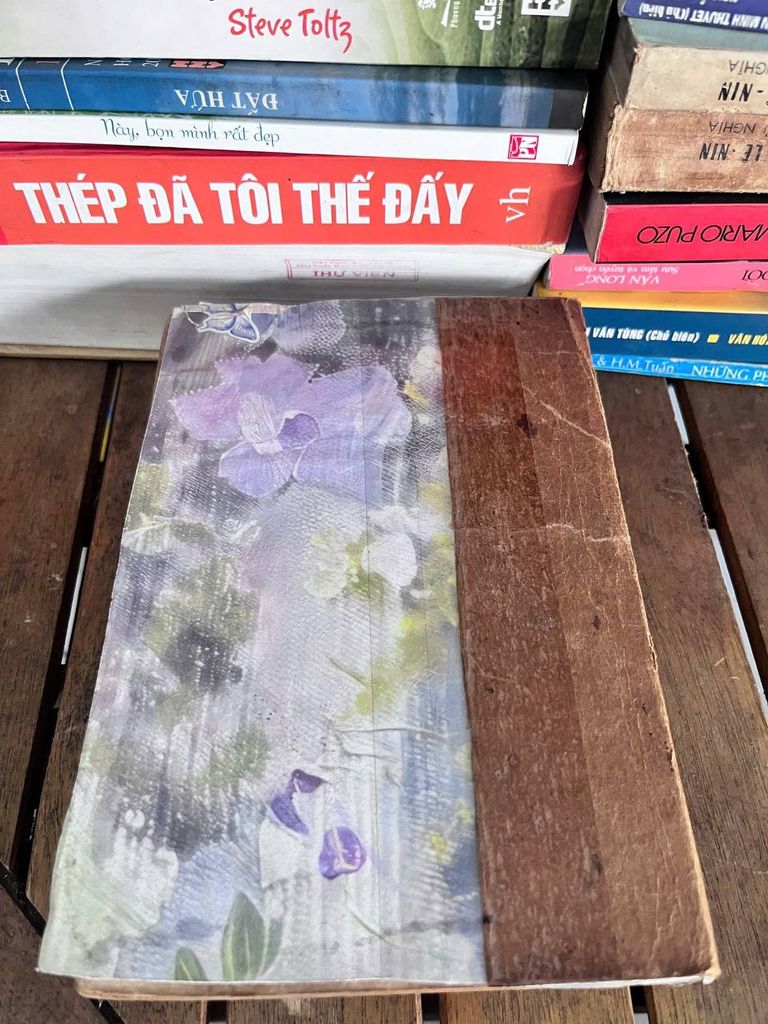 Hoa Hậu Xứ Mường - Tiểu thuyết của Phượng Vũ - Ảnh thực tế 3