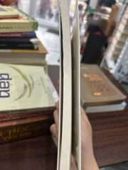 Hoa Linh Lan - Gào - Gào - BT - Gào - ảnh 4