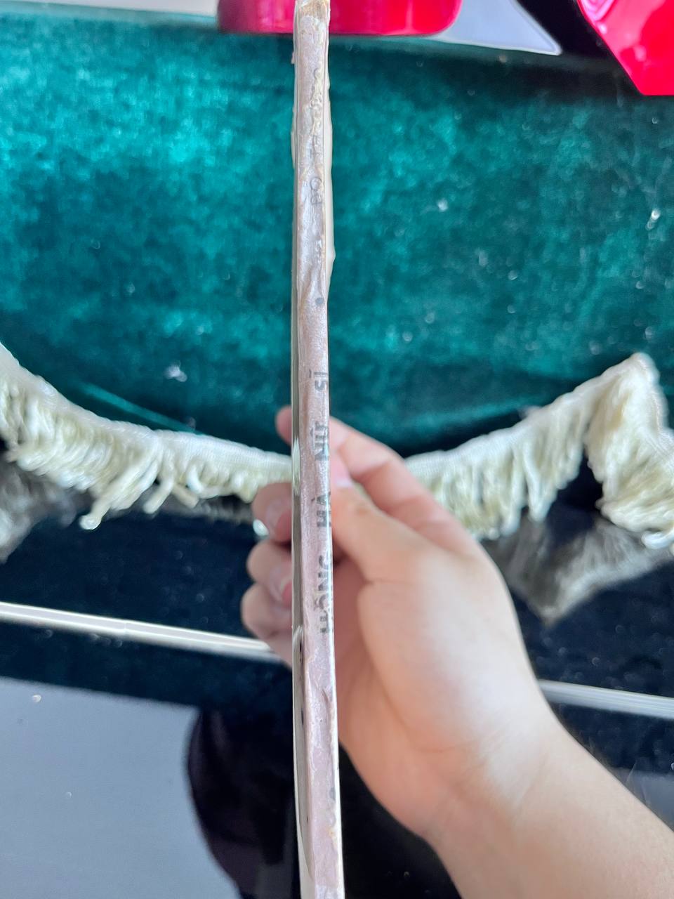 Hồng Hà Nữ Sĩ - Đỗ Thị Hảo - ảnh 2