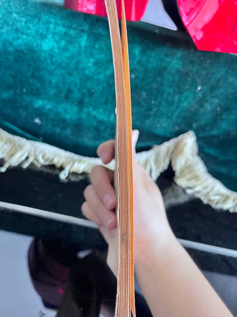 Hồng Hà Nữ Sĩ - Đỗ Thị Hảo - ảnh 4