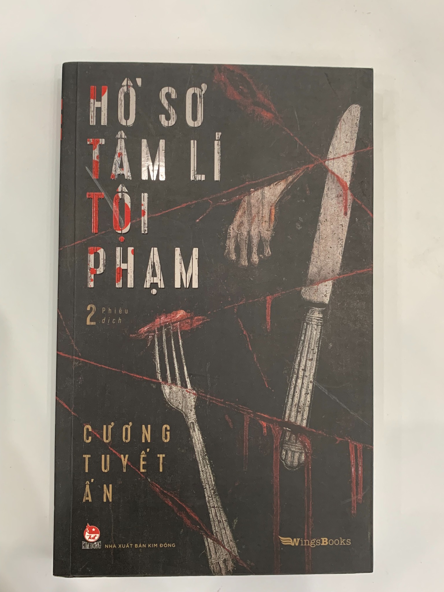 Cương Tuyết Ấn 2 - Hồ Sơ Tâm Lí Tội Phạm - Đinh Mặc