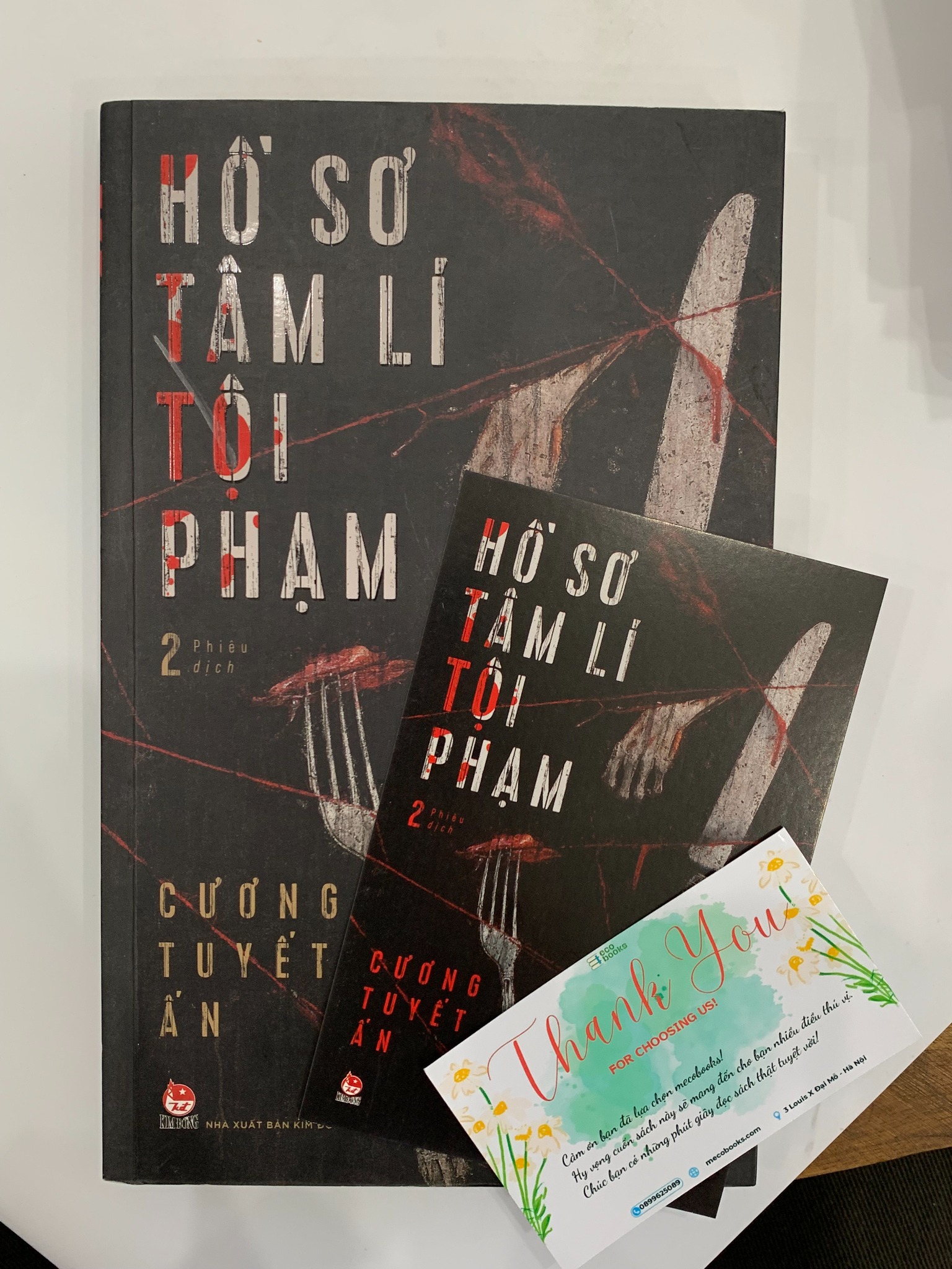Cương Tuyết Ấn 2 - Hồ Sơ Tâm Lí Tội Phạm - Đinh Mặc - ảnh 5