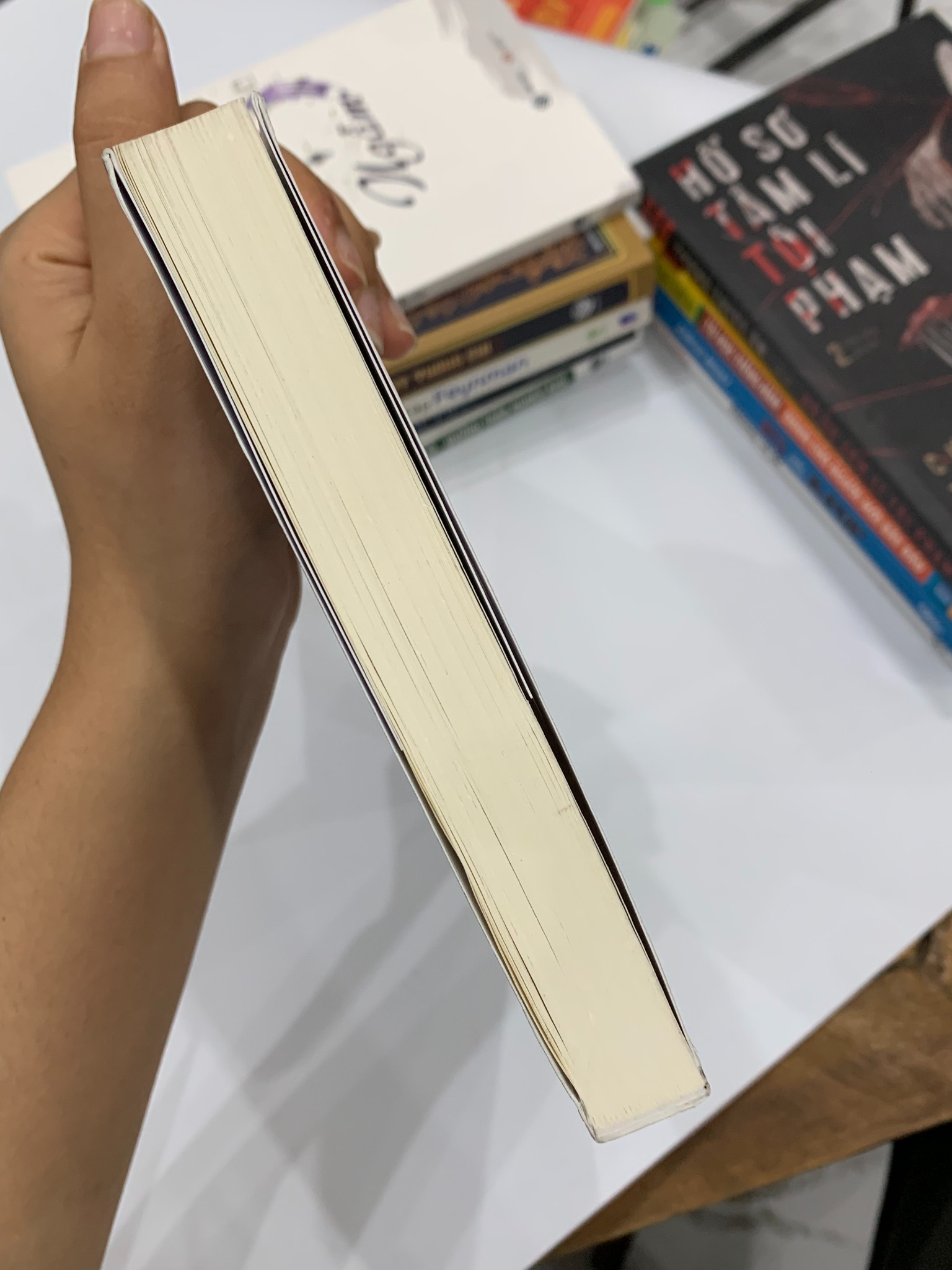 Sự Im Lặng Của Bầy Cừu - Thomas Harris - ảnh 5