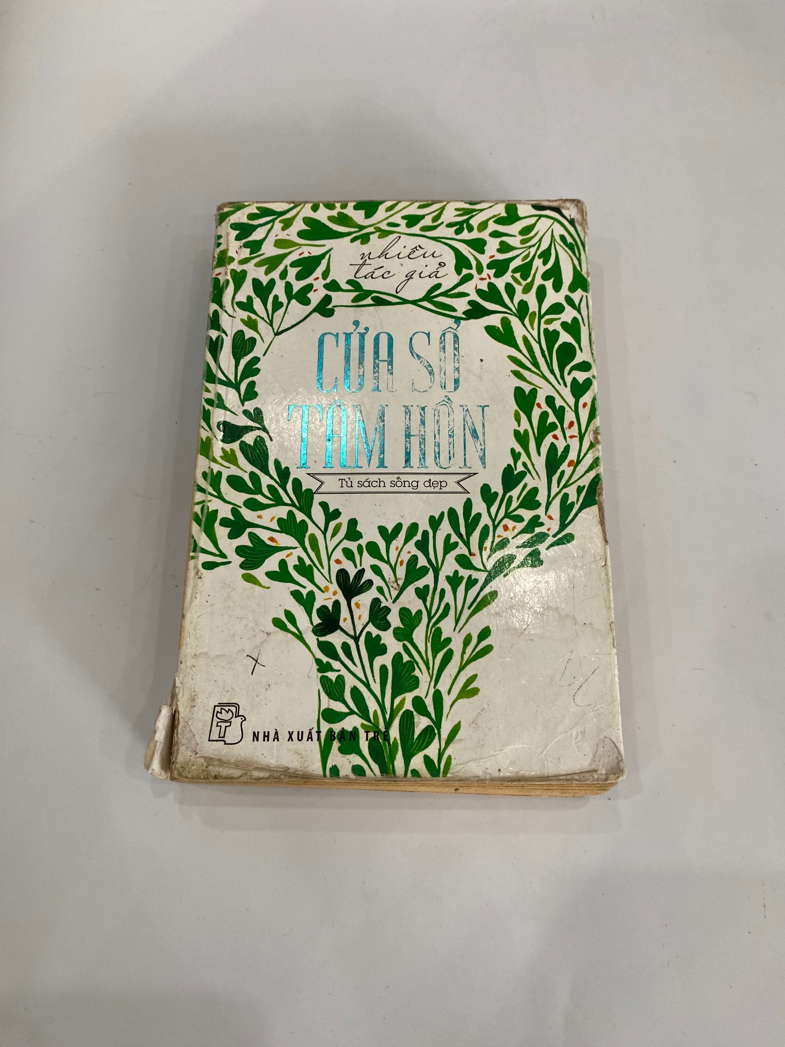 Cửa Sổ Tâm Hồn - Nhiều tác giả