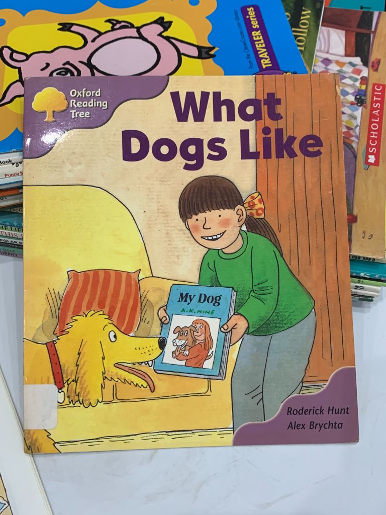 Oxford Reading Tree: What Dogs Like – Roderick Hunt - Ảnh thực tế 3