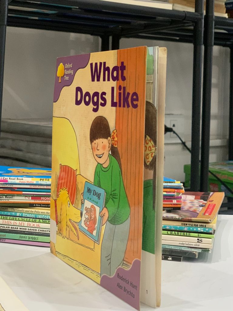 Oxford Reading Tree: What Dogs Like – Roderick Hunt - Ảnh thực tế 5
