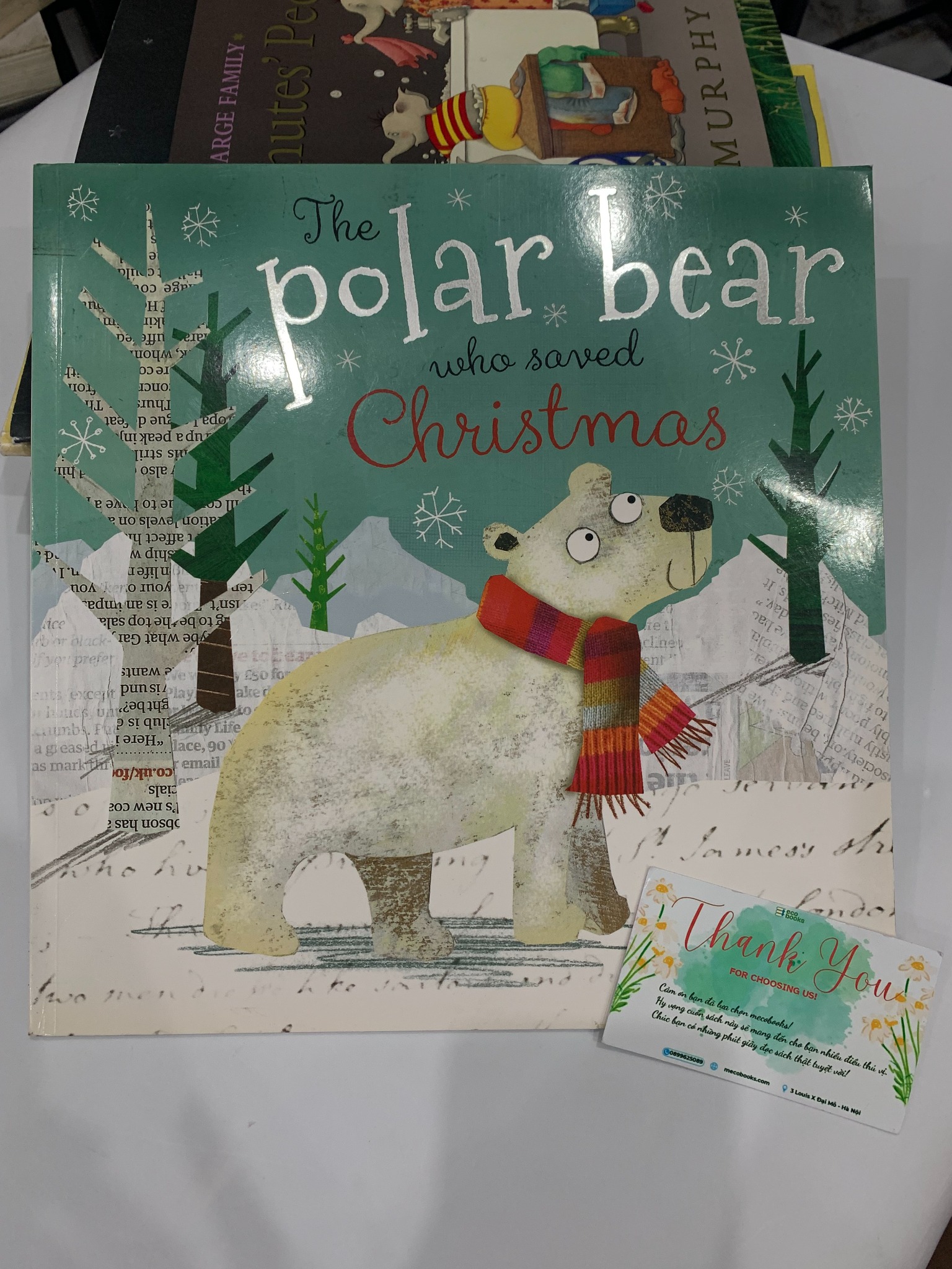 The Polar Bear Who Saved Christmas – Fiona Boon