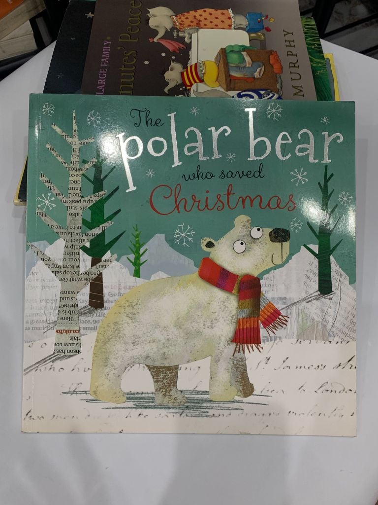 The Polar Bear Who Saved Christmas – Fiona Boon - Ảnh chụp thực tế