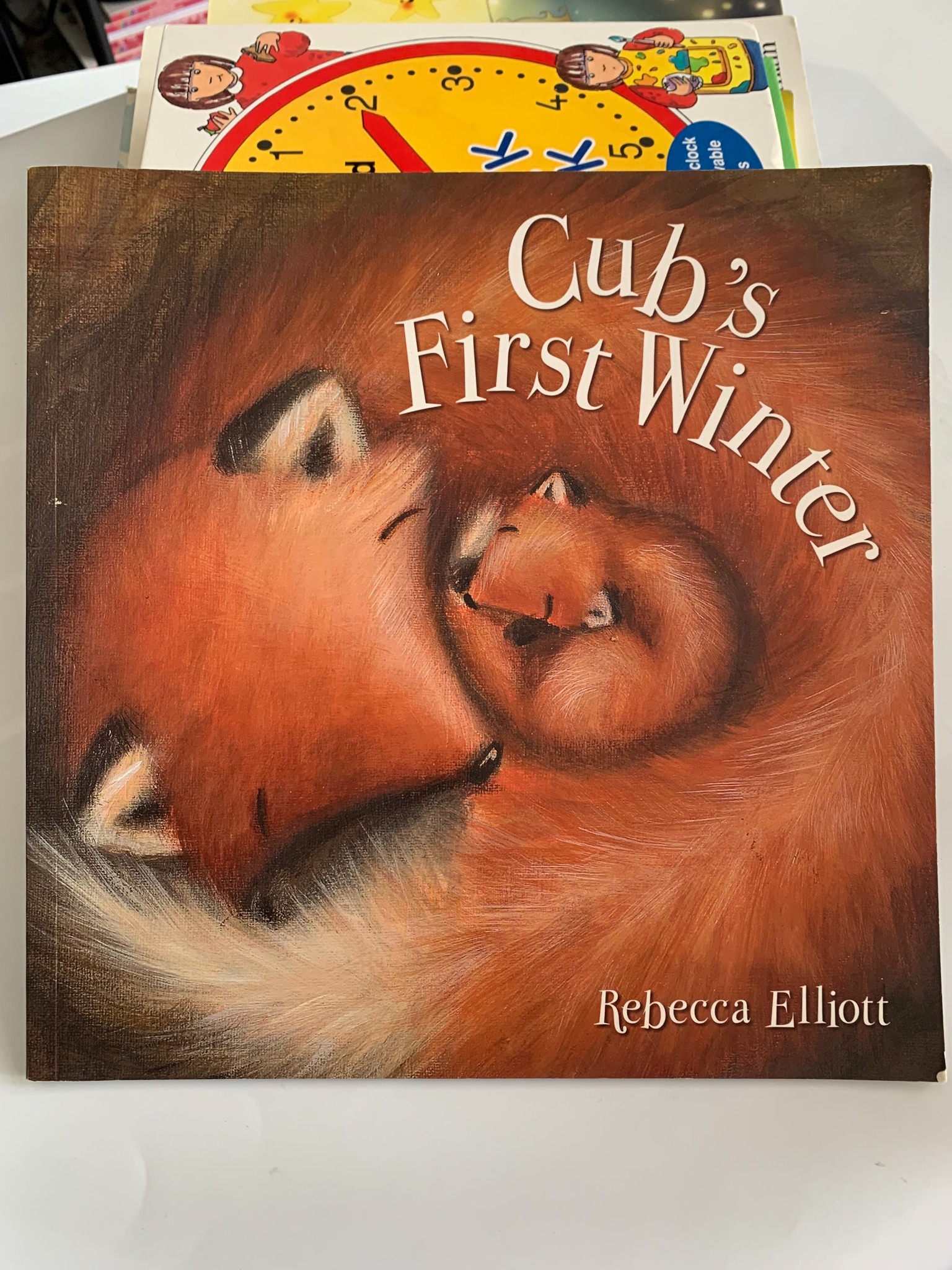 Cub's First Winter – Rebecca Elliott - ảnh 2