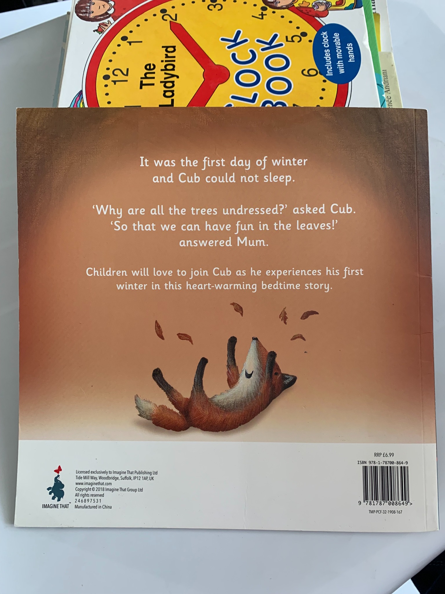 Cub's First Winter – Rebecca Elliott - ảnh 3