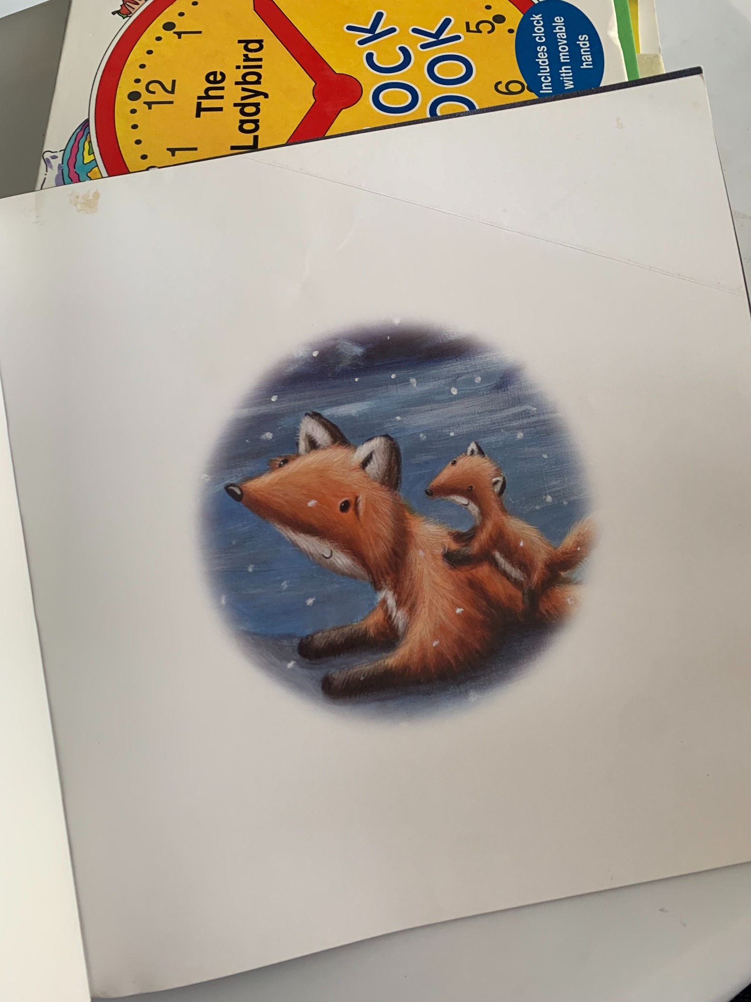Cub's First Winter – Rebecca Elliott - ảnh 4
