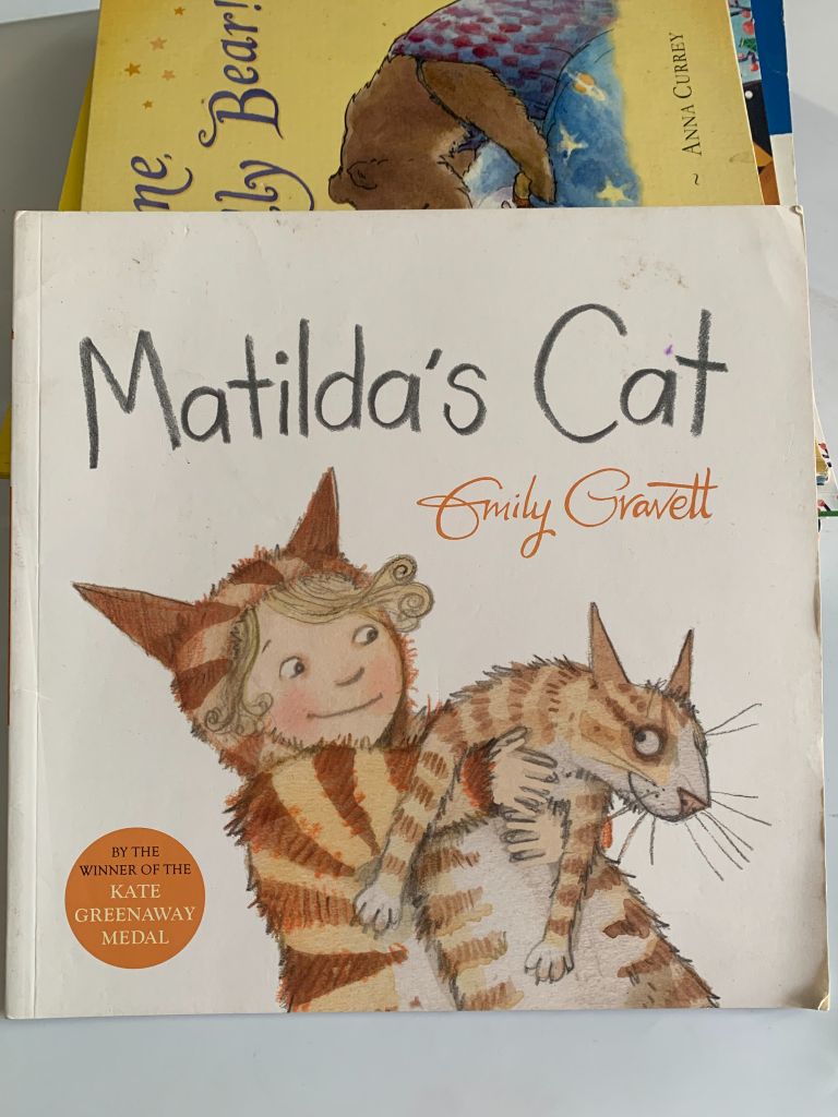 Matilda's Cat – Emily Gravett - Ảnh chụp thực tế