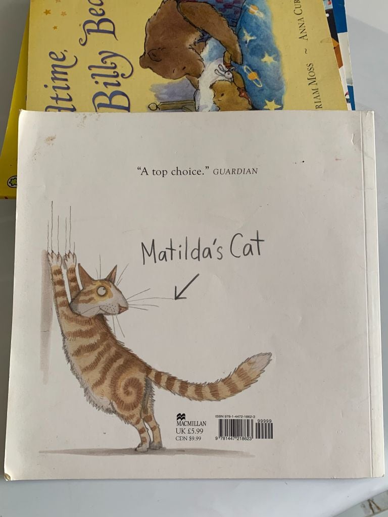Matilda's Cat – Emily Gravett - Ảnh thực tế 3
