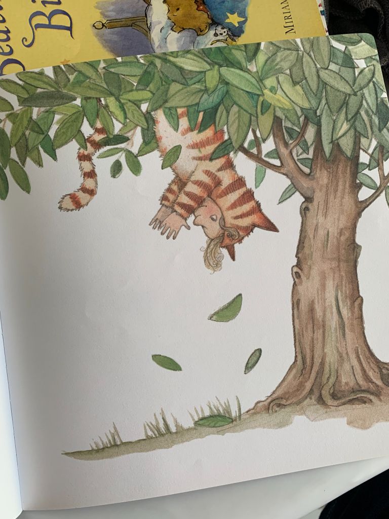 Matilda's Cat – Emily Gravett - Ảnh thực tế 6