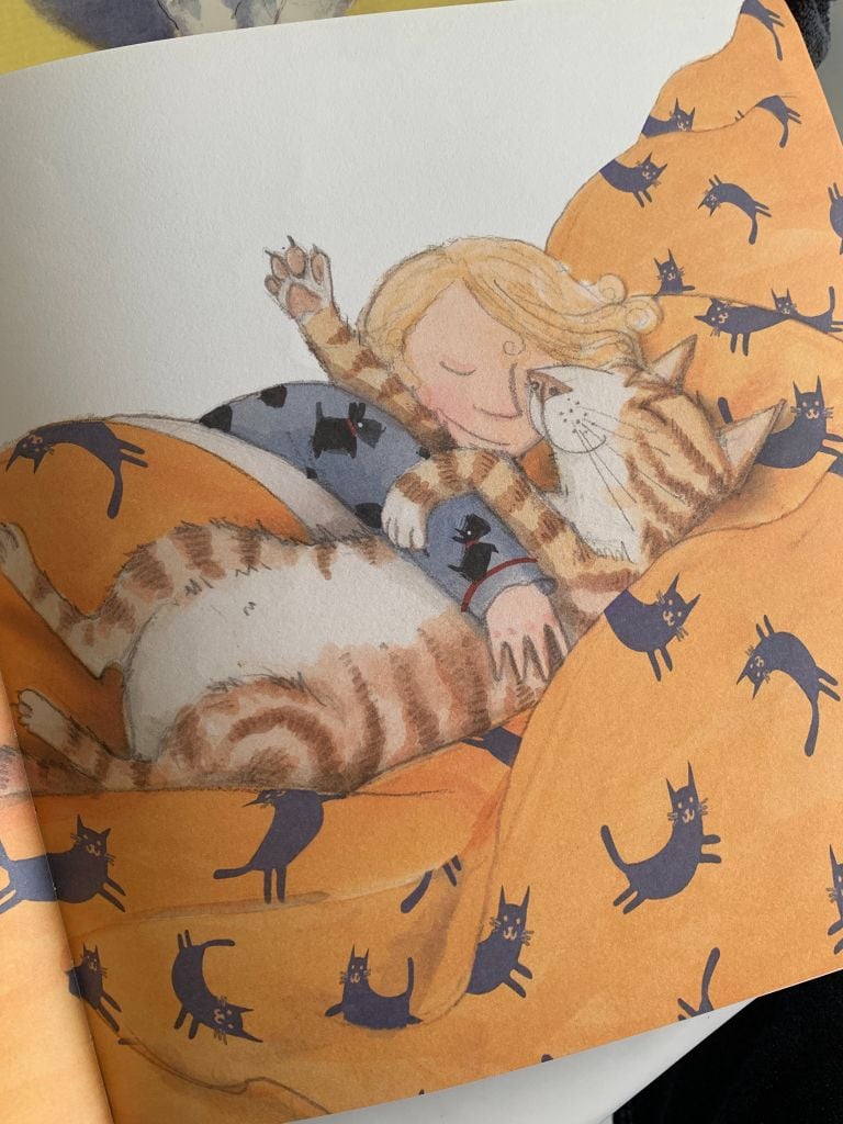 Matilda's Cat – Emily Gravett - Ảnh thực tế 7