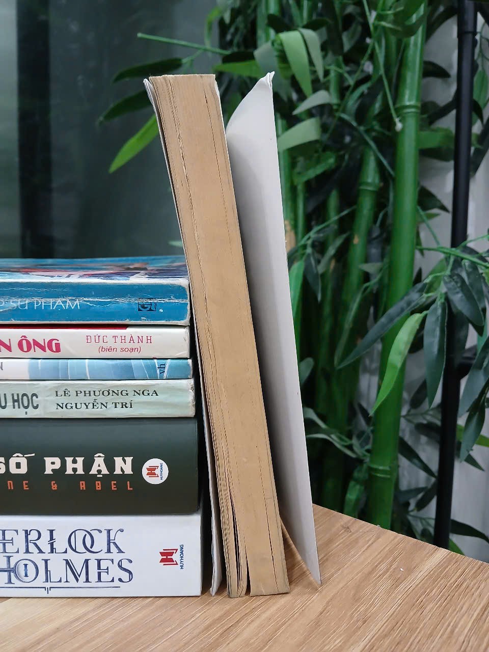 Khi mọi điểm tựa đều mất (Happy for No Reason) – Marci Shimoff & Carol Kline