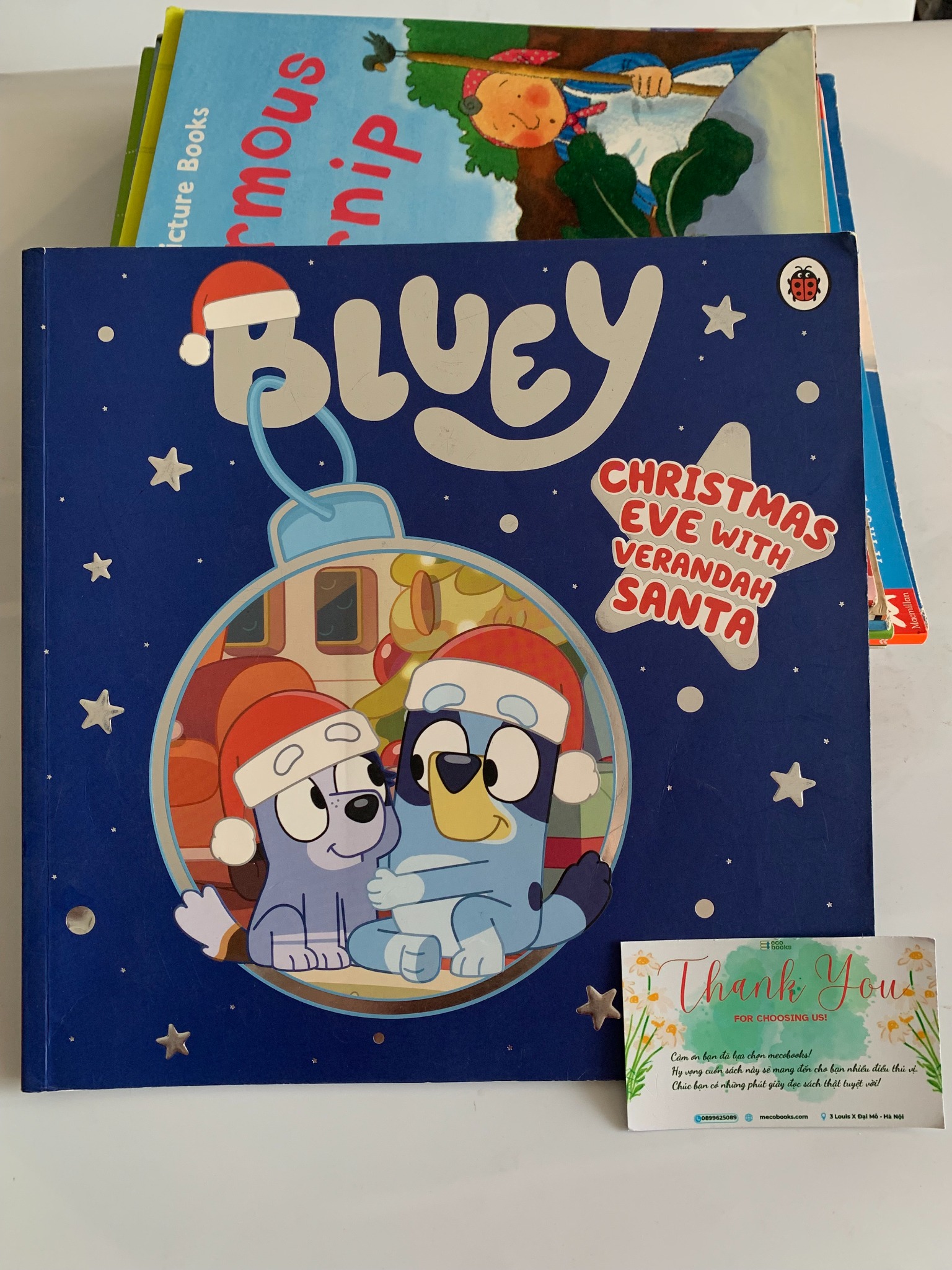 Bluey: Christmas Eve with Verandah Santa – Bluey