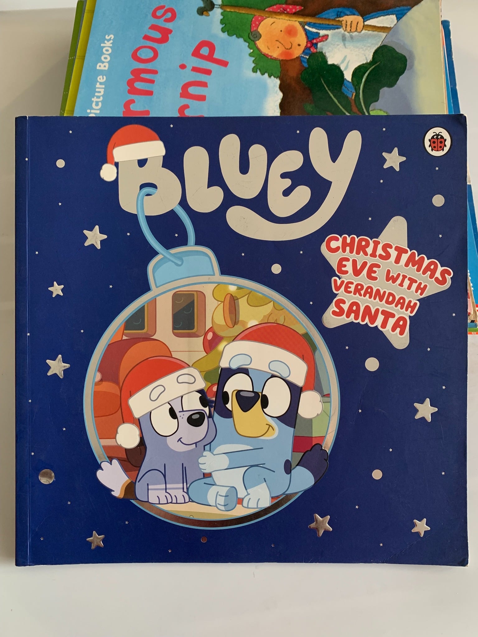 Bluey: Christmas Eve with Verandah Santa – Bluey - ảnh 2