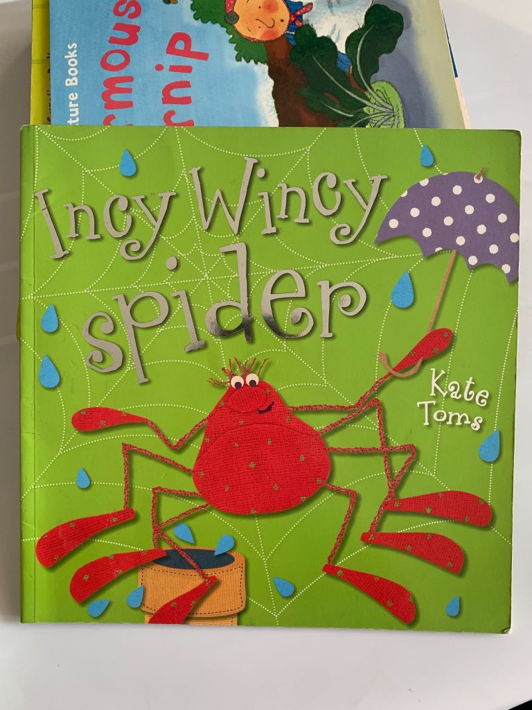 Incy Wincy Spider – Kate Toms - Ảnh chụp thực tế