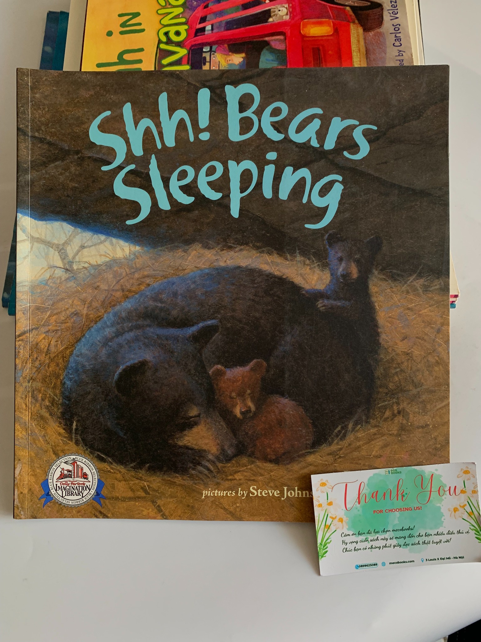 Shh! Bears Sleeping – David Martin