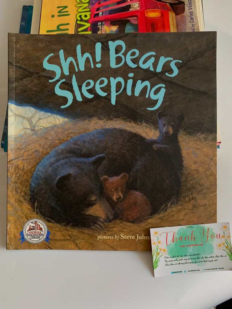 Shh! Bears Sleeping – David Martin - Ảnh thực tế 1