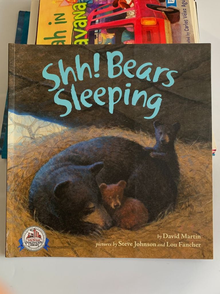 Shh! Bears Sleeping – David Martin - Ảnh chụp thực tế