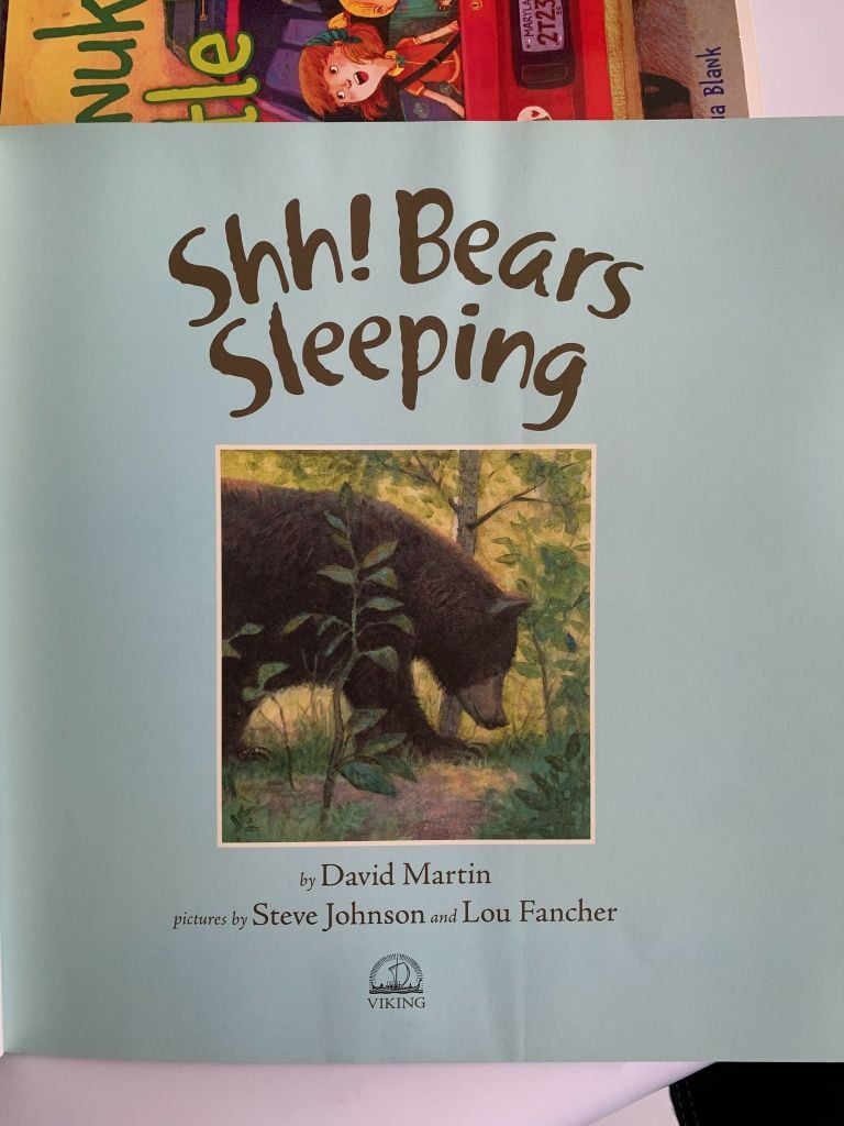 Shh! Bears Sleeping – David Martin - Ảnh thực tế 4