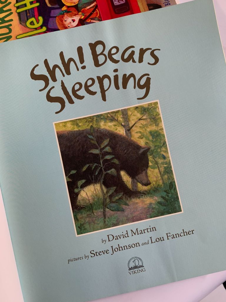 Shh! Bears Sleeping – David Martin - Ảnh thực tế 5